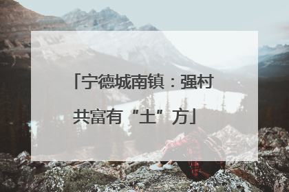 宁德城南镇：强村共富有“土”方