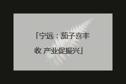 宁远：茄子喜丰收 产业促振兴