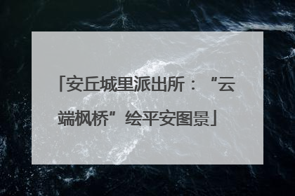 安丘城里派出所：“云端枫桥”绘平安图景