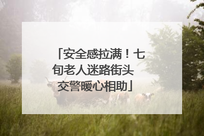 安全感拉满！七旬老人迷路街头 交警暖心相助