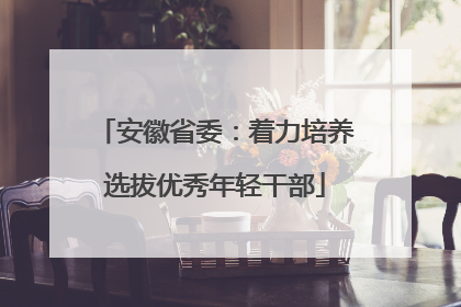 安徽省委：着力培养选拔优秀年轻干部