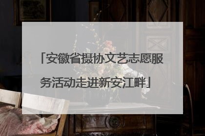 安徽省摄协文艺志愿服务活动走进新安江畔