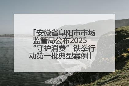 安徽省阜阳市市场监管局公布2025“守护消费”铁拳行动第一批典型案例