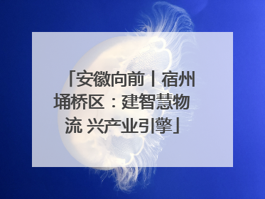 安徽向前丨宿州埇桥区：建智慧物流 兴产业引擎