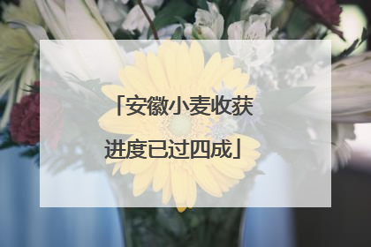 安徽小麦收获进度已过四成