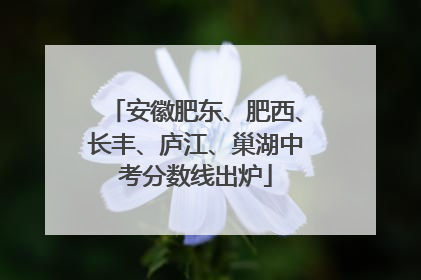 安徽肥东、肥西、长丰、庐江、巢湖中考分数线出炉