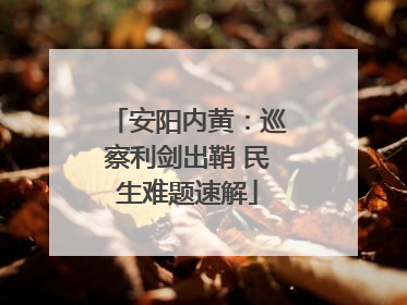 安阳内黄：巡察利剑出鞘 民生难题速解