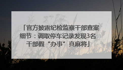 官方披露纪检监察干部查案细节：调取停车记录发现3名干部假“办事”真麻将