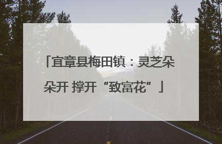 宜章县梅田镇：灵芝朵朵开 撑开“致富花”
