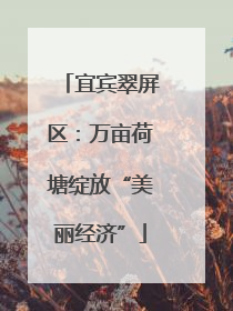 宜宾翠屏区：万亩荷塘绽放“美丽经济”