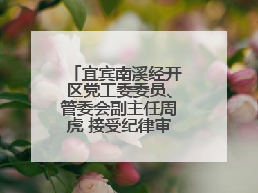 宜宾南溪经开区党工委委员、管委会副主任周虎 接受纪律审查和监察调查