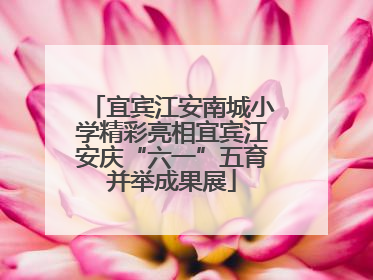 宜宾江安南城小学精彩亮相宜宾江安庆“六一”五育并举成果展