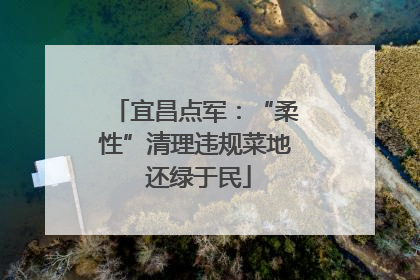 宜昌点军：“柔性”清理违规菜地 还绿于民