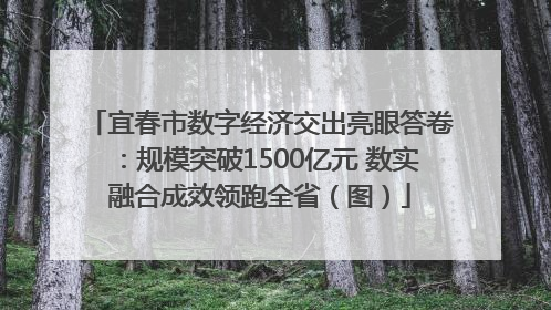 宜春市数字经济交出亮眼答卷：规模突破1500亿元 数实融合成效领跑全省（图）