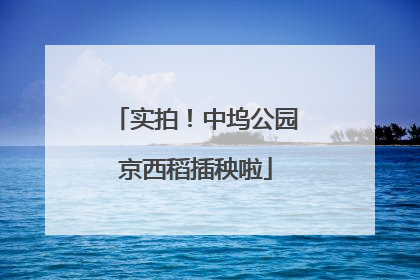 实拍！中坞公园京西稻插秧啦