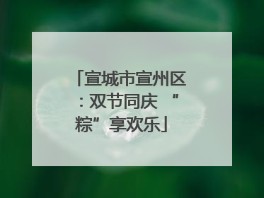 宣城市宣州区：双节同庆 “粽”享欢乐