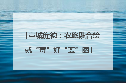 宣城旌德：农旅融合绘就“莓”好“蓝”图