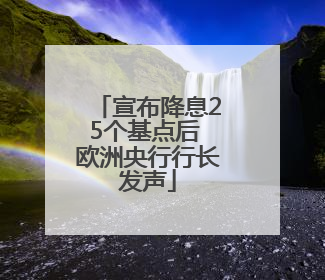 宣布降息25个基点后 欧洲央行行长发声