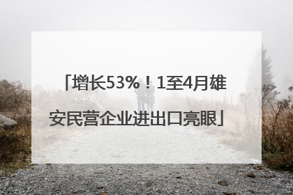 增长53%！1至4月雄安民营企业进出口亮眼