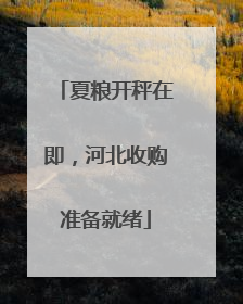 夏粮开秤在即，河北收购准备就绪