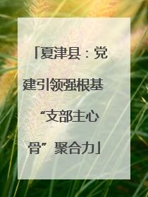 夏津县：党建引领强根基 “支部主心骨”聚合力