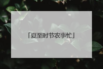 夏至时节农事忙