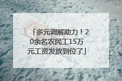 多元调解助力！20余名农民工15万元工资发放到位了