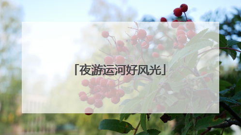 夜游运河好风光