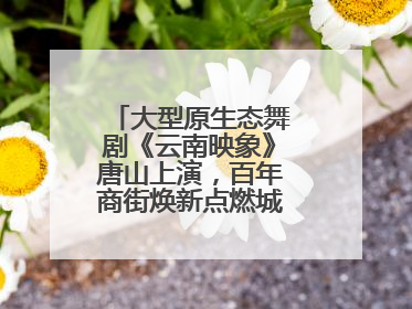 大型原生态舞剧《云南映象》唐山上演，百年商街焕新点燃城市艺术激情