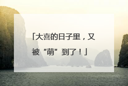 大喜的日子里，又被“萌”到了！