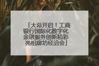 大幕开启！工商银行国际化数字化金融服务创新精彩亮相廊坊经洽会