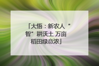 大悟：新农人“智”耕沃土 万亩稻田绿意浓