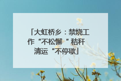 大虹桥乡：禁烧工作“不松懈“ 秸秆清运“不停歇