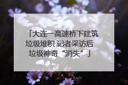 大连一高速桥下建筑垃圾堆积 记者采访后垃圾神奇“消失”