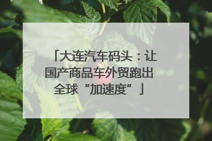 大连汽车码头：让国产商品车外贸跑出全球“加速度”