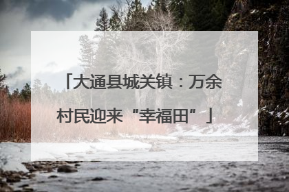 大通县城关镇：万余村民迎来“幸福田”
