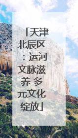 天津北辰区：运河文脉滋养 多元文化绽放