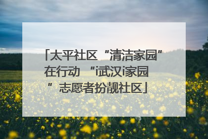 太平社区“清洁家园”在行动 “i武汉i家园”志愿者扮靓社区