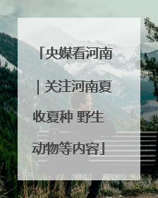 央媒看河南｜关注河南夏收夏种 野生动物等内容