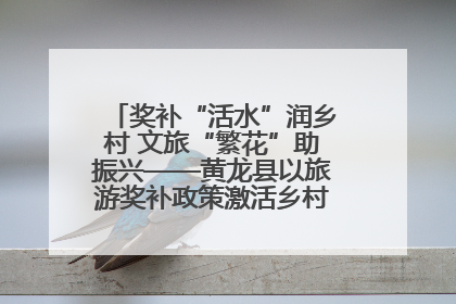 奖补“活水”润乡村 文旅“繁花”助振兴——黄龙县以旅游奖补政策激活乡村振兴新动能
