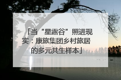 当“星露谷”照进现实：康旅集团乡村旅居的多元共生样本