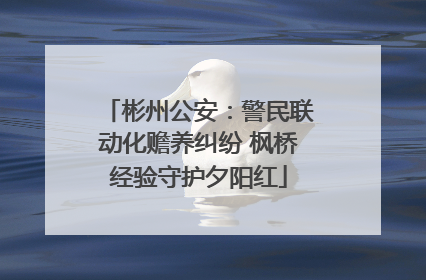 彬州公安：警民联动化赡养纠纷 枫桥经验守护夕阳红