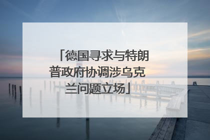 德国寻求与特朗普政府协调涉乌克兰问题立场