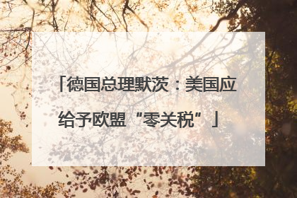 德国总理默茨：美国应给予欧盟“零关税”