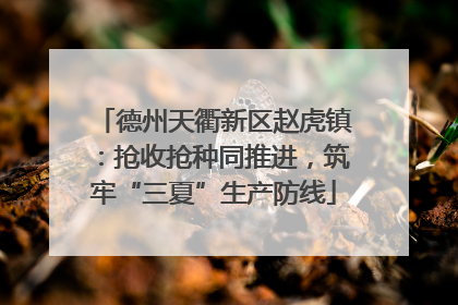 德州天衢新区赵虎镇：抢收抢种同推进，筑牢“三夏”生产防线