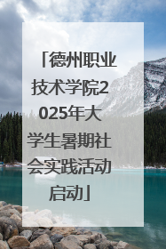 德州职业技术学院2025年大学生暑期社会实践活动启动