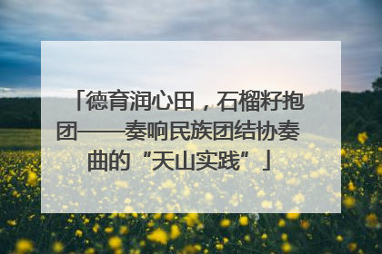 德育润心田，石榴籽抱团——奏响民族团结协奏曲的“天山实践”
