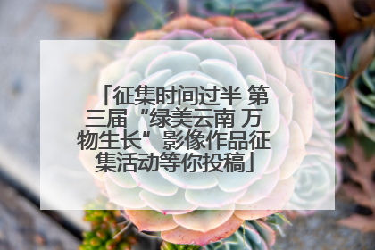 征集时间过半 第三届“绿美云南 万物生长”影像作品征集活动等你投稿
