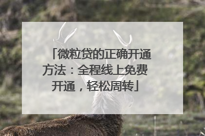 微粒贷的正确开通方法：全程线上免费开通，轻松周转