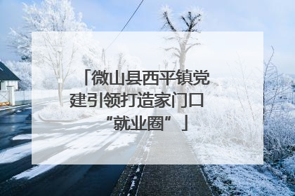 微山县西平镇党建引领打造家门口“就业圈”